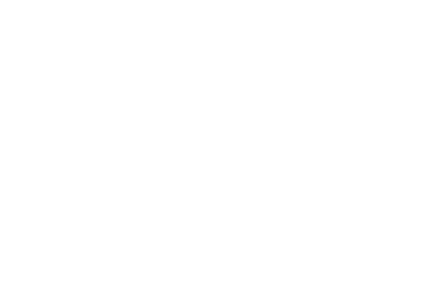 Logo BTL Branca